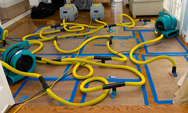Professional Water Extraction technician working in Trinity, NC